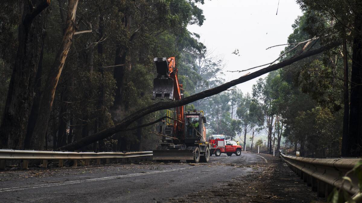Emergency services clean up fallen and dangerous trees on Braidwood Road from the NSW Tianjara fire. Picture: Dion Georgopoulos