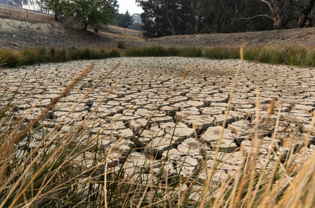 Last year was the driest on record, according to the Bureau of Meteorology. Picture: Dion Georgopoulos