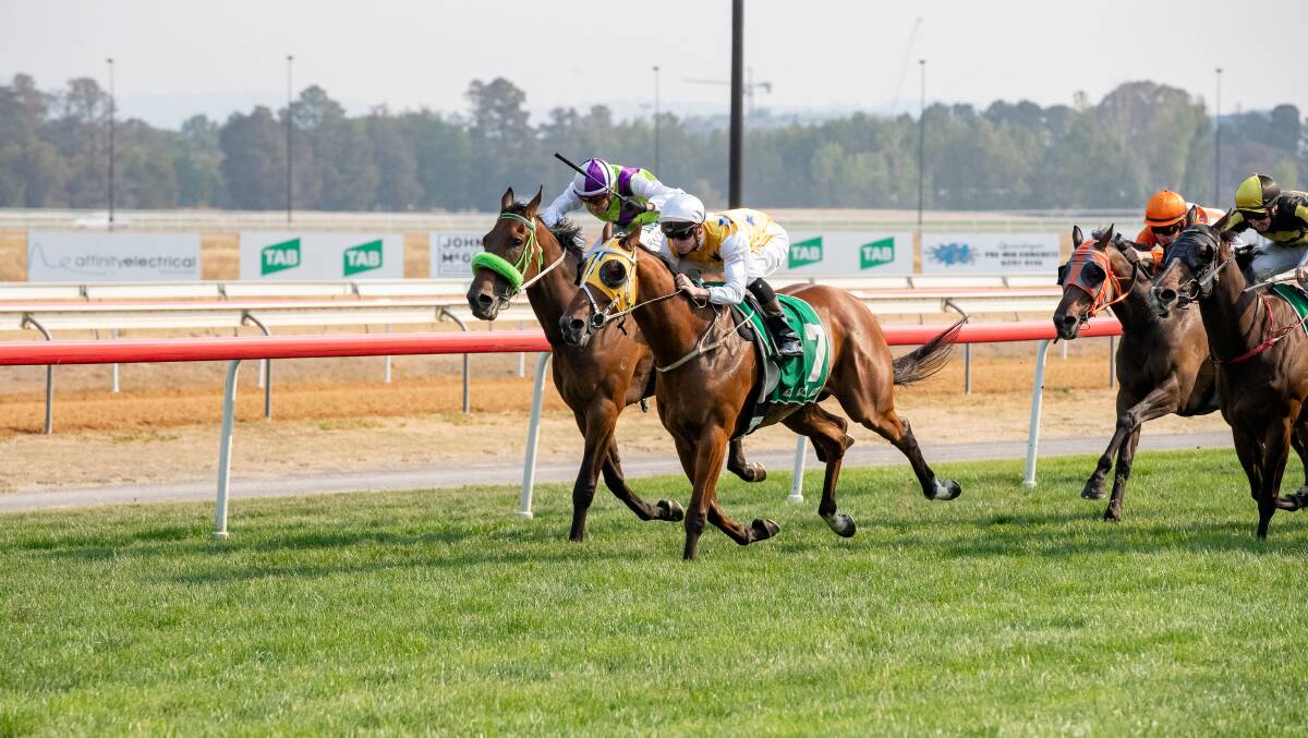 Canberra Racing's meet on Wednesday was cancelled due to poor air quality. Picture: Sitthixay Ditthavong