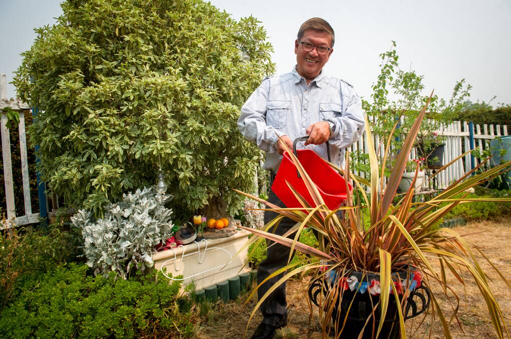 Michael Tee saves about 25 litres of water a week by using water from his fish tanks and pond to water and fertilise his plants. Picture: Elesa Kurtz