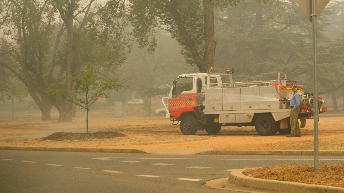Trees in Parliamentary triangle being watered in the smoke on Sunday. Picture: Elesa Kurtz