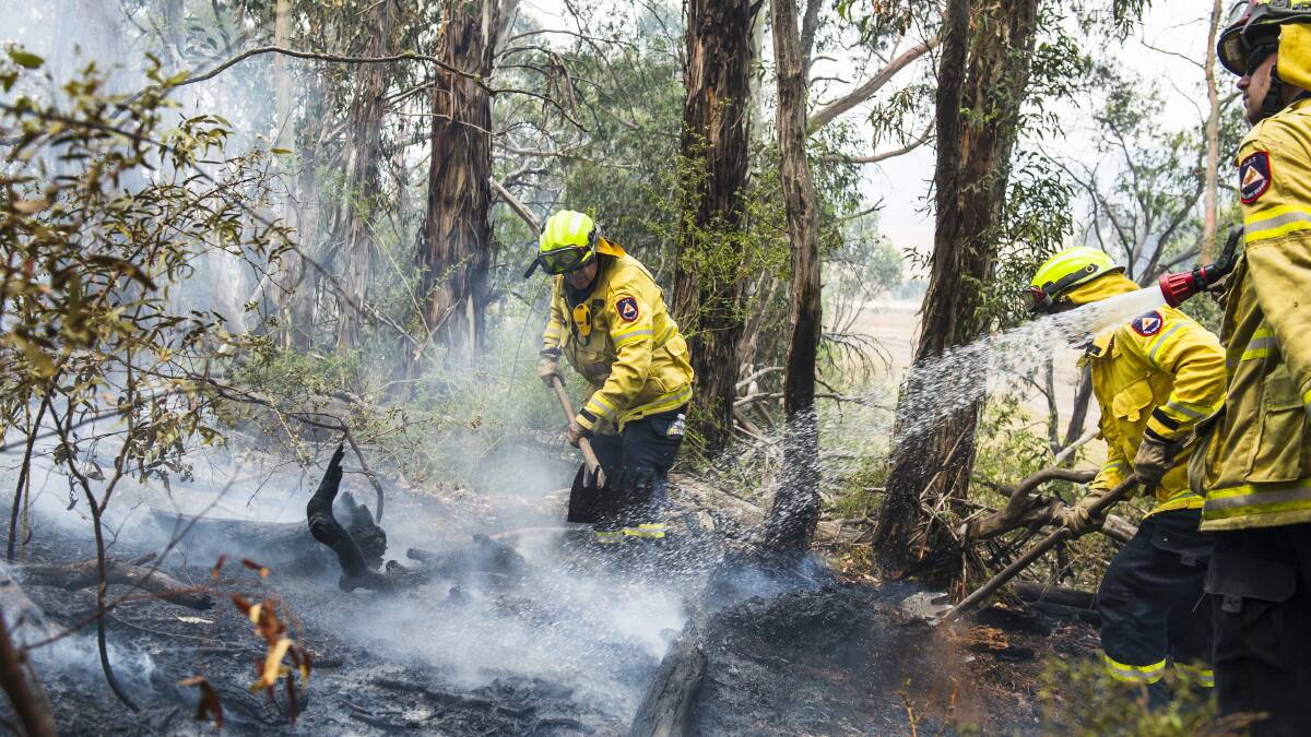 ACT Gungahlin RFS Brigade clear a spot fire on Friday January 10 near Adaminaby. Picture: Dion Georgopoulos