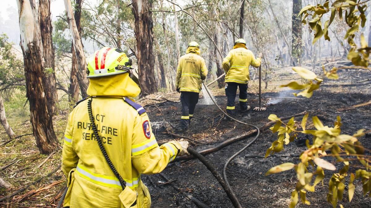 ACT rural firefighters from Gungahlin put out a spot fire while deployed to bushland in NSW on Friday. Picture: Dion Georgopoulos
