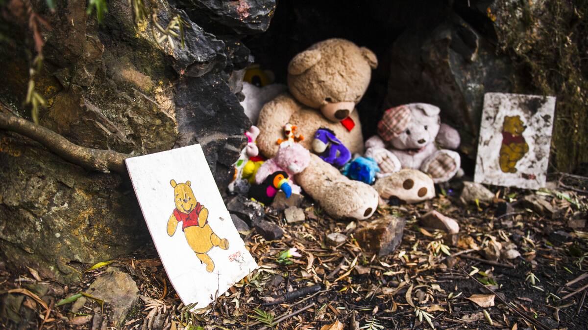 Pooh Corner on the Kings Highway between Canberra and the NSW South Coast. It survived the bushfires, but will it be so lucky next time? Rising temperatures are already changing our world. Picture: Dion Georgopoulos.