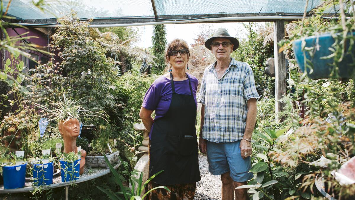 Mogo Nursery owners Gayle Smith and Phil Mayberry.
Picture: Jamila Toderas