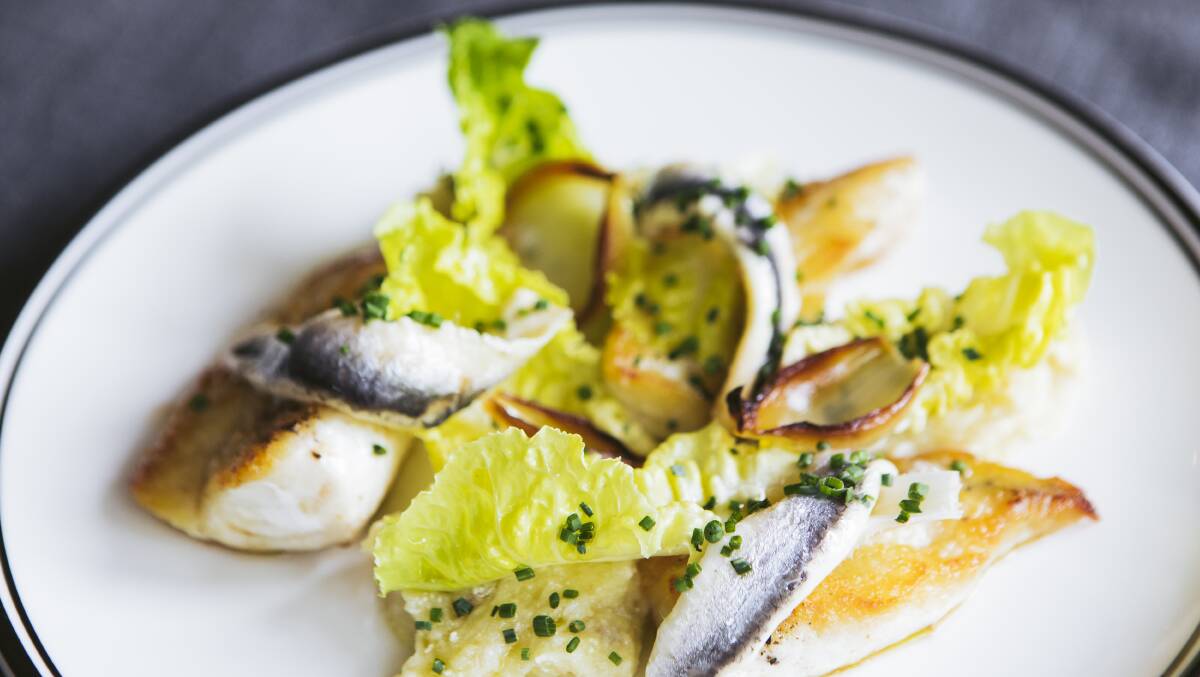 Grilled gurnard fillets, salted cod brandade, white anchovy and cos salad. Picture: Jamila Toderas