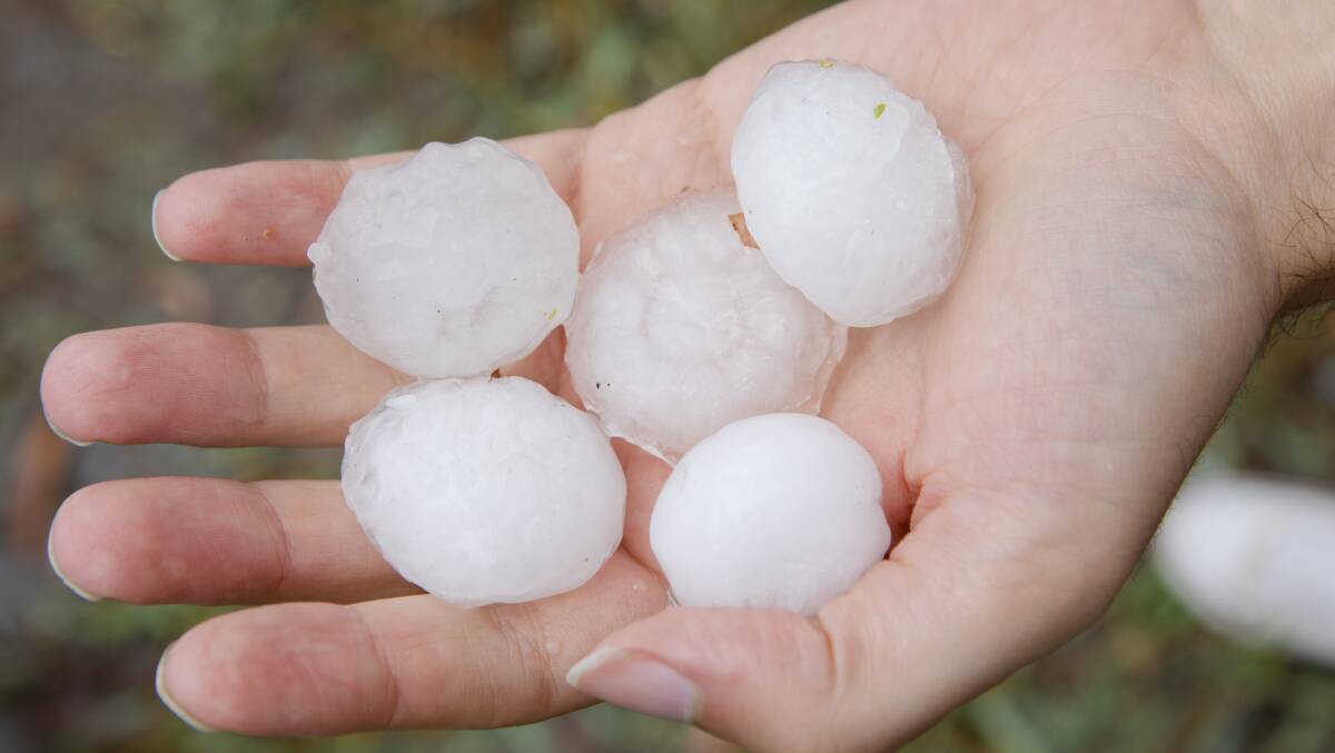 Hail stones the size of golf balls hit Canberra on Monday. Picture: Jamila Toderas