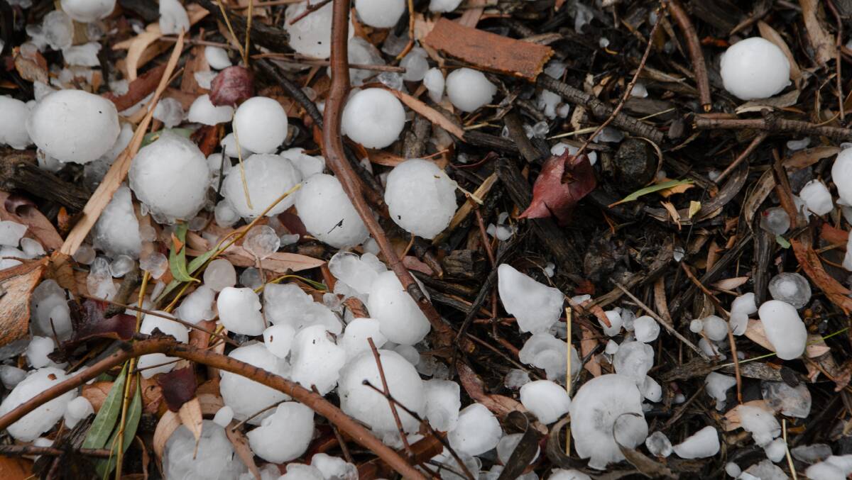 Canberra escaped the worst of the storm on Tuesday, but residents were prepared for more hail like the storm seen in January. Picture: Jamila Toderas