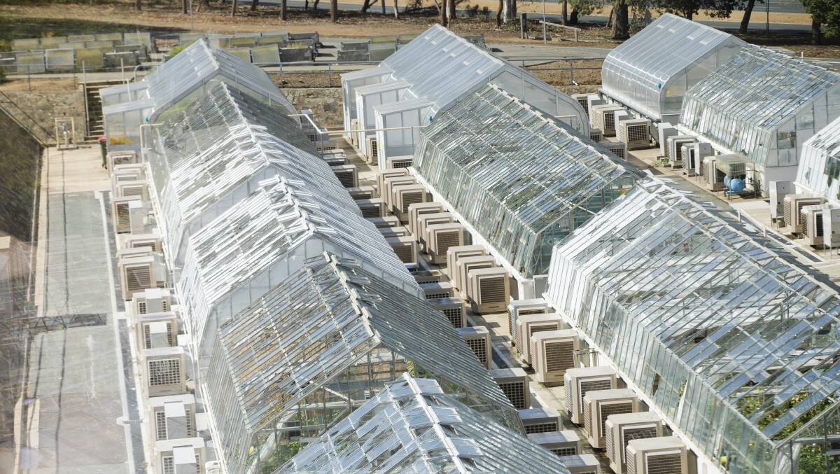 Hail caused significant damage to CSIRO's agriculture and food glasshouses on Monday. Picture: Jamila Toderas