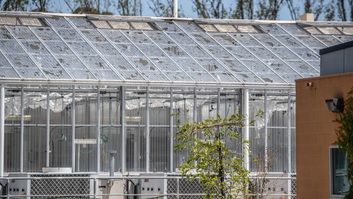 Several greenhouses at ANU were severely damaged. Picture: Karleen Minney