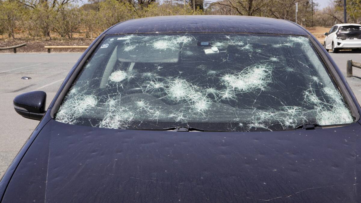 Thousands of cars were hit in January's hail storm. Picture: Jamila Toderas