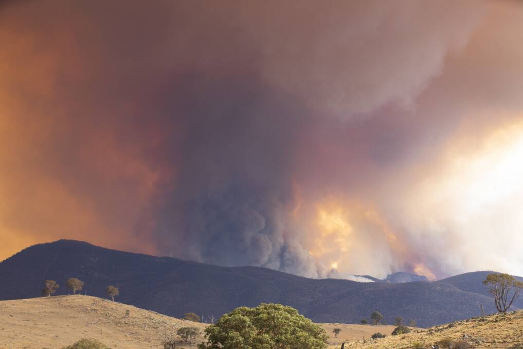 The Orroral Valley fire burnt through more than 80 per cent of Namadgi National Park.
Picture: Jamila Toderas