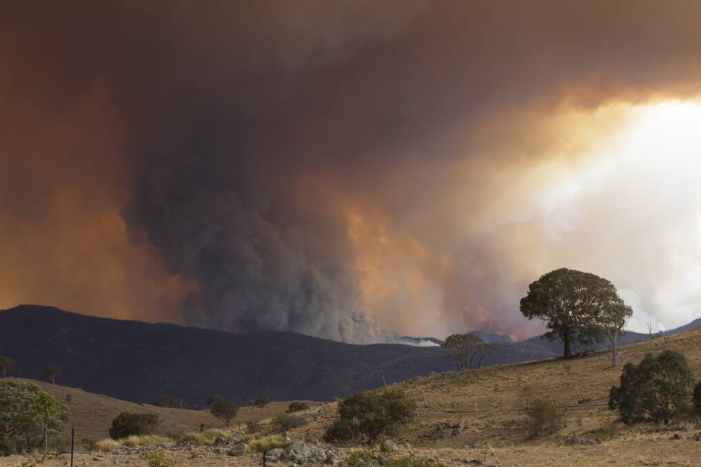 The ACT coroner has announced an inquiry into the Orroral Valley blaze. Picture: Jamila Toderas