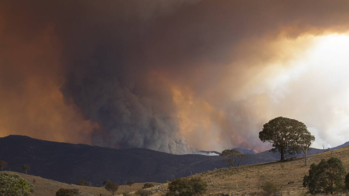 The Orroral Valley fire which destroyed most of Namadgi National Park also brought with it tensions between volunteer firefighters and the Emergency Services Agency. Picture: Jamila Toderas