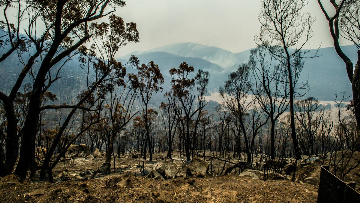 The 2020 Orroral Valley bushfire caused major damage. Picture by Karleen Minney