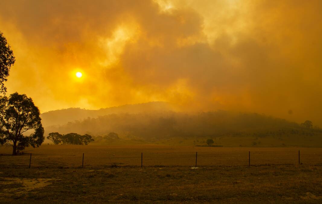 The Orroral Valley fire as seen just outside Tharwa on Boboyan Road on Friday. Picture: Dion Georgopoulos