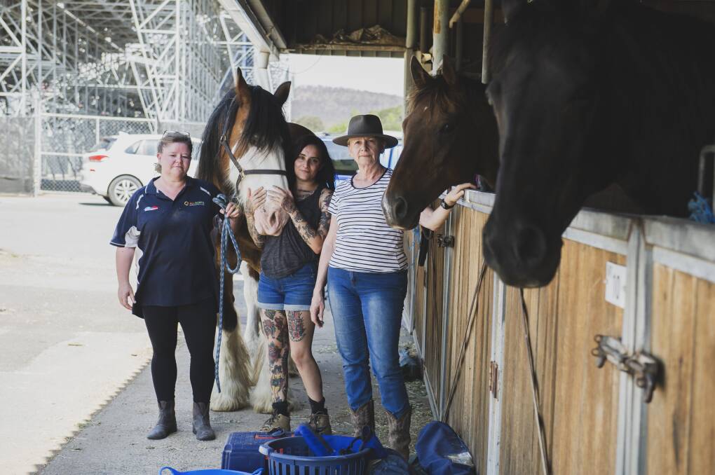 Peta Joyce, Alix Dossetor and Annabelle Pegrum have evacuated their horses from the Canberra Equestrian Centre to EPIC as a precautionary measure due to increased fire danger. Picture: Dion Georgopoulos