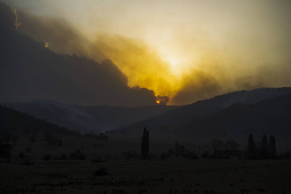 The Orroral Valley fire, which affected ACT farms, as seen from Naas Road near Tharwa in early February. Picture: Dion Georgopoulos