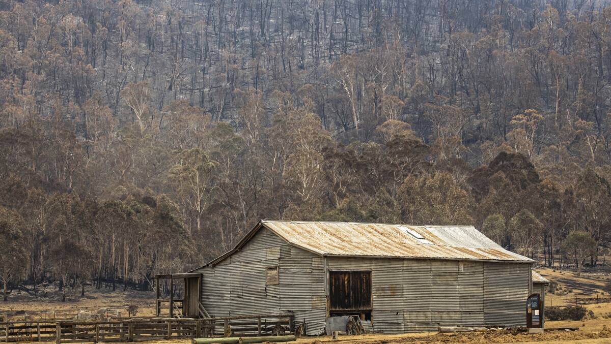 Great efforts were made to protect the Orroral Woolshed from the bushfire that raced through the area over the past week. Picture: Sitthixay Ditthavong