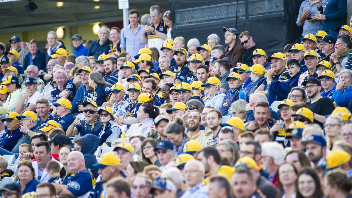 The Brumbies are hoping for bigger crowds. Picture: Jamila Toderas
