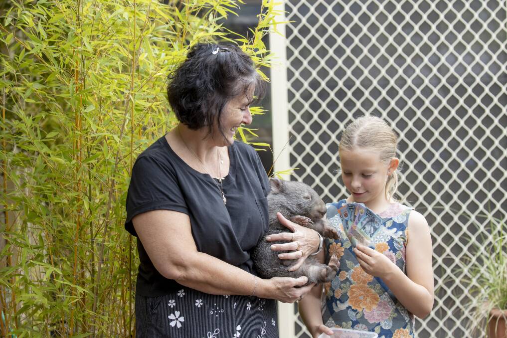 ACT Wildlife wombat coordinator Lindy Butcher with nine-year-old Madison Gale and Harriet. Picture: Sitthixay Ditthavong,