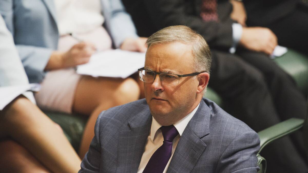 Anthony Albanese, and state and territory opposition leaders, should be included in a true government of national unity.
Picture: Dion Georgopoulos
