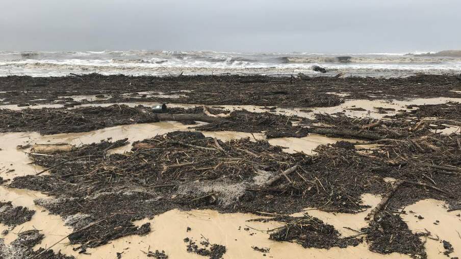 Debris from bushfires, washed up due to heavy rains, has forced the closure of all beaches in the Eurobodalla Shire Council area for the forseeable future. Picture: Eurobodalla Shire Council
