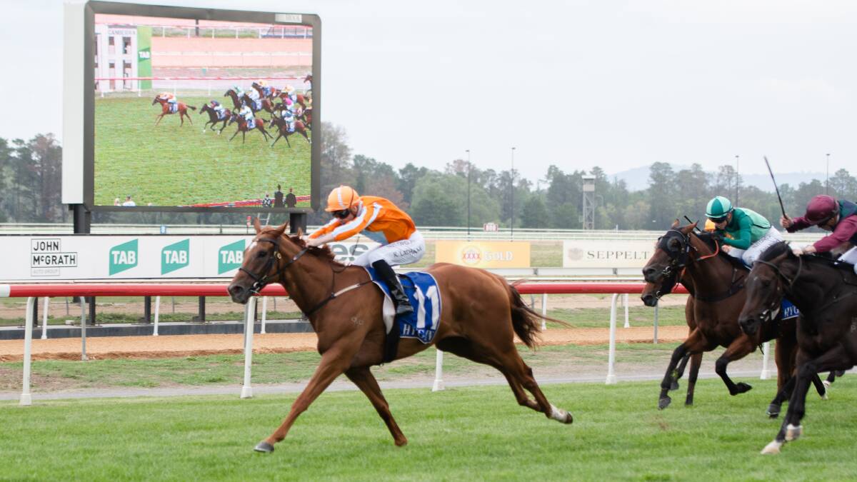 Maid of Ore finished third in the Canberra Mile, behind fellow Canberra Cup competitor Cinquedea (pictured). Picture: Elesa Kurtz
