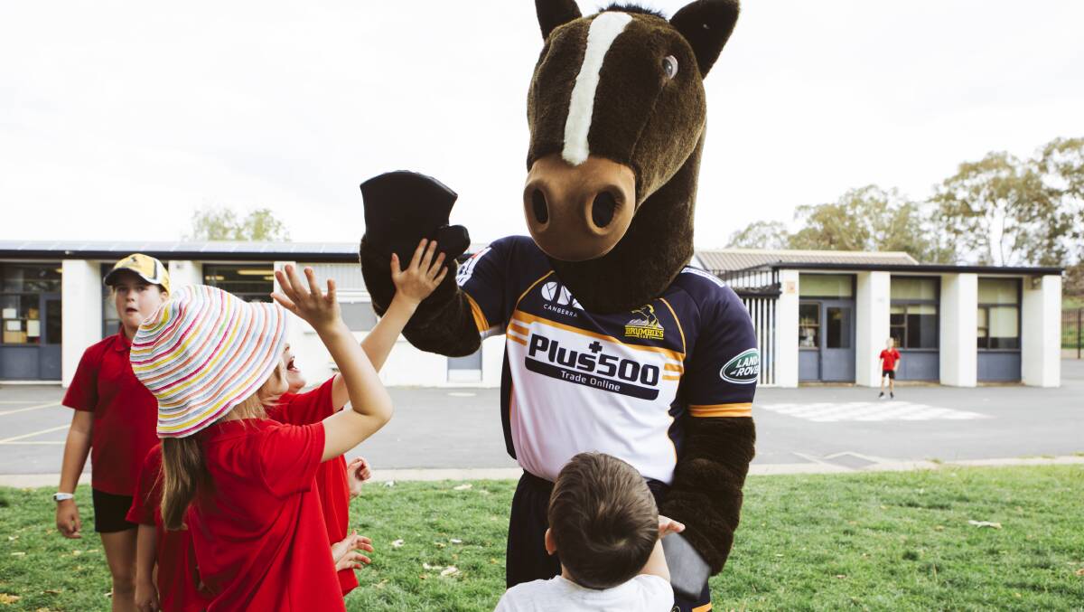 Brumby Jack was a fan favourite at Mount Rogers Primary School. Picture: Jamila Toderas