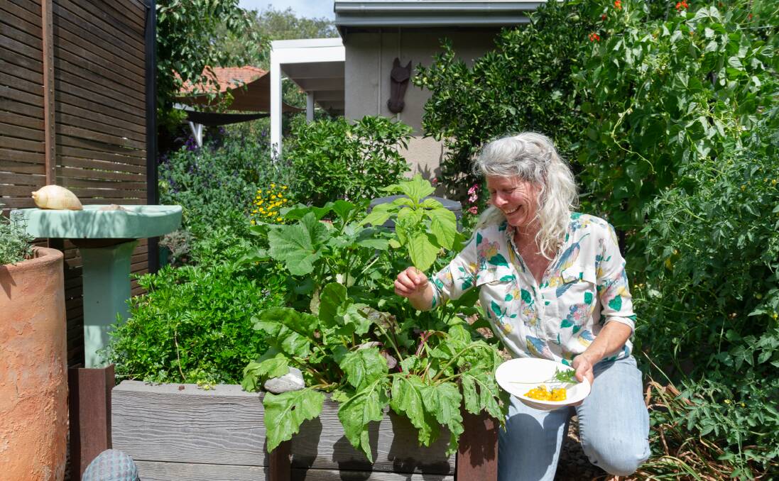 Michele England harvesting vegetables and herbs in her Braddon garden. Picture: Elesa Kurtz 