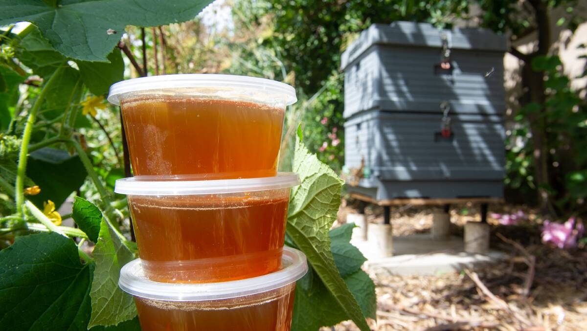 Honey produced from Michele England's bee hives. Picture: Elesa Kurtz
