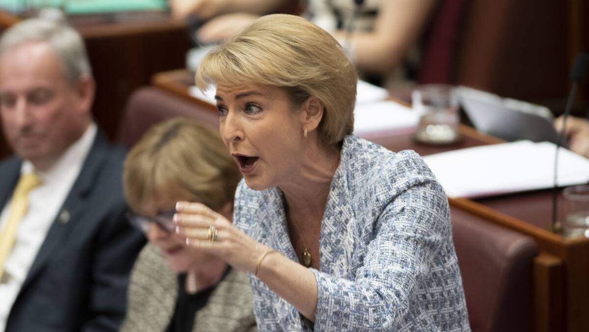 Employment Minister Michaelia Cash. Picture: Sitthixay Ditthavong 