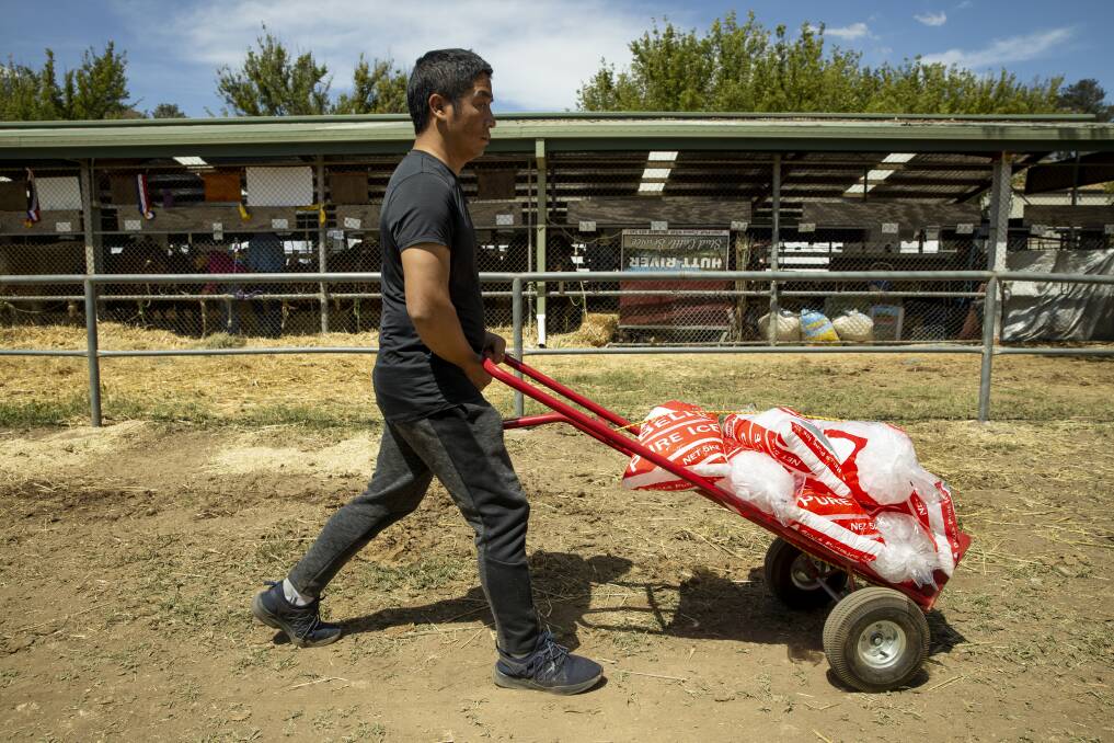 A man wheels a load of ice through the Canberra Show on Sunday as the temperature topped 30 degrees on the first day of autumn. Picture: Sitthixay Ditthavong