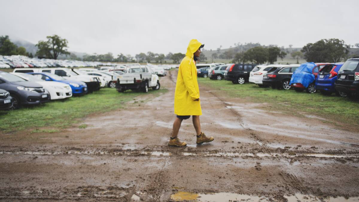 Salvage yard supervisor Pierre Vongphit with the thousands of hail-damaged cars at Majura. Picture: Dion Georgopoulos