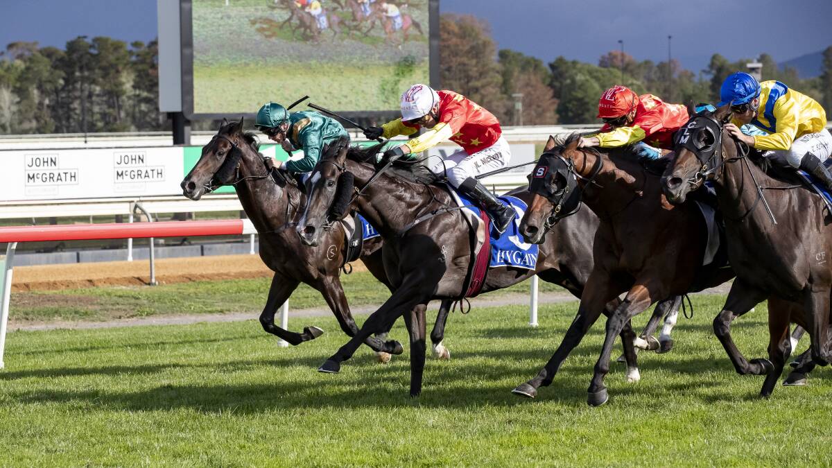 The Canberra racing industry is feeling the effects of the coronavirus. Picture: Sitthixay Ditthavong