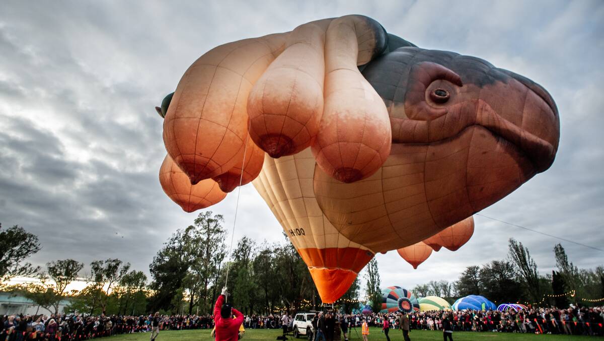 Skywhale and T-Rex was tethered in the parliamentary triangle on Canberra Day. Picture: Karleen Minney