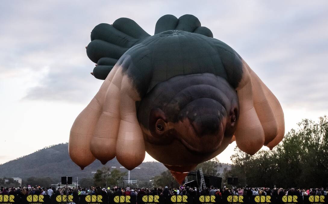 Skywhale during the 2020 Canberra Balloon Spectacular. Picture: Karleen Minney