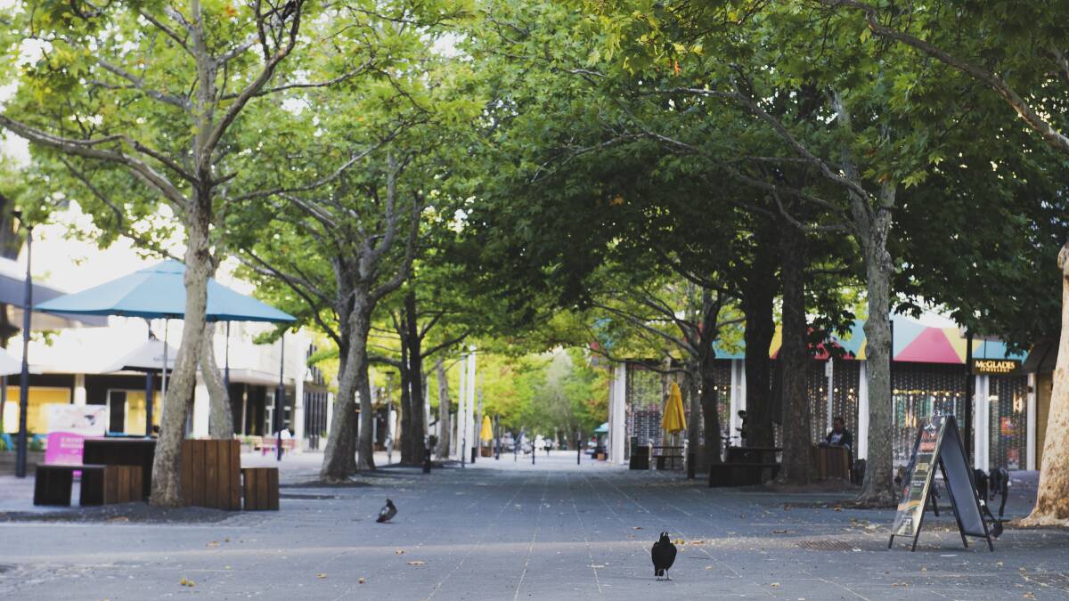 Areas like Garema Place could be used as dedicated precincts for entertainment. Picture: Dion Georgopoulos