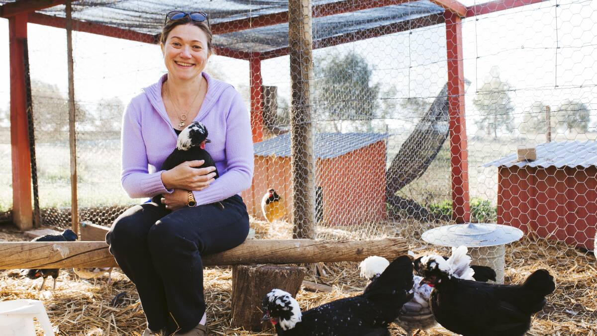 Owner of Hot Chicks Poultry, Anita van Doren, has been overwhelmed with demand for backyard chickens as people self isolate. Picture: Jamila Toderas