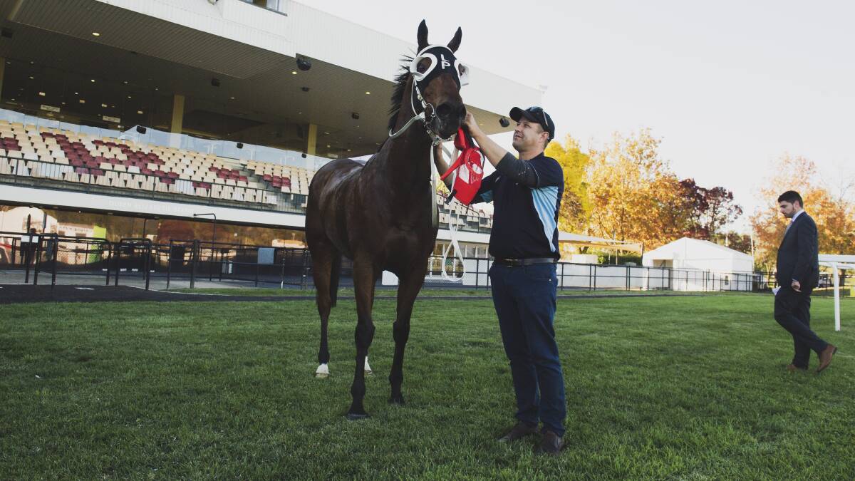 Winning horse of the Federal, Whycatchim, and trainer Luke Pepper. Picture: Dion Georgopoulos