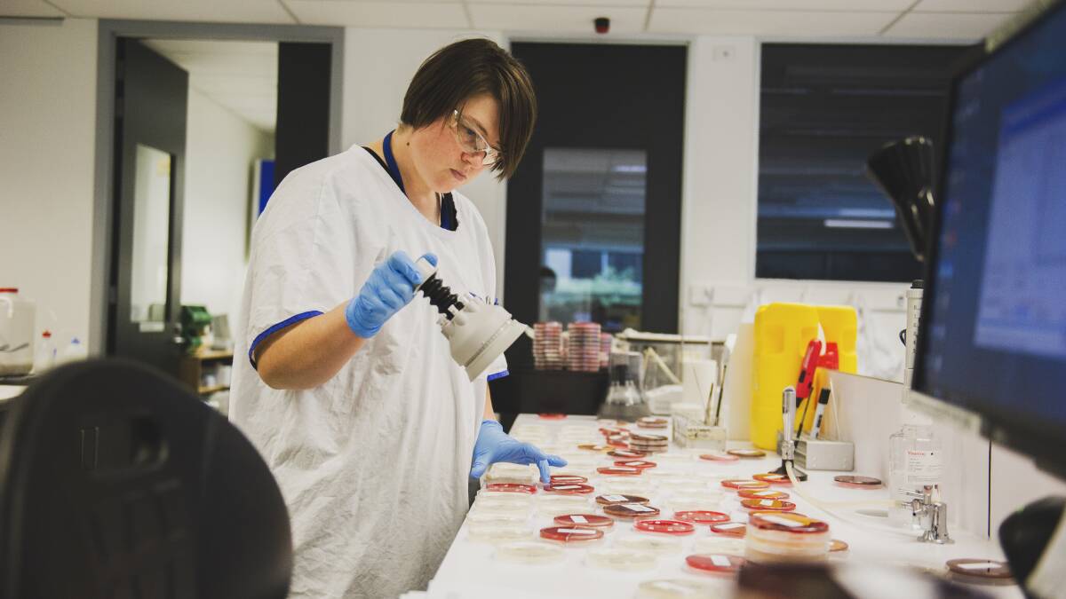 Employees working at the Capital Pathology Lab in Canberra. Picture: Dion Georgopoulos