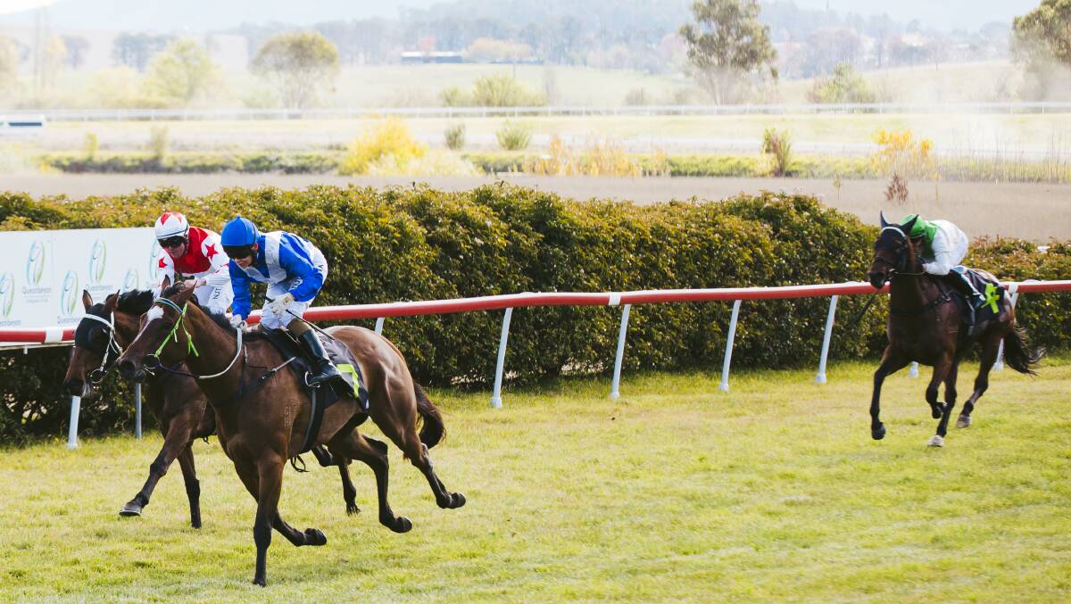 One Last Fight wins the maiden plate at Queanbeyan Racecourse. Picture: Jamila Toderas