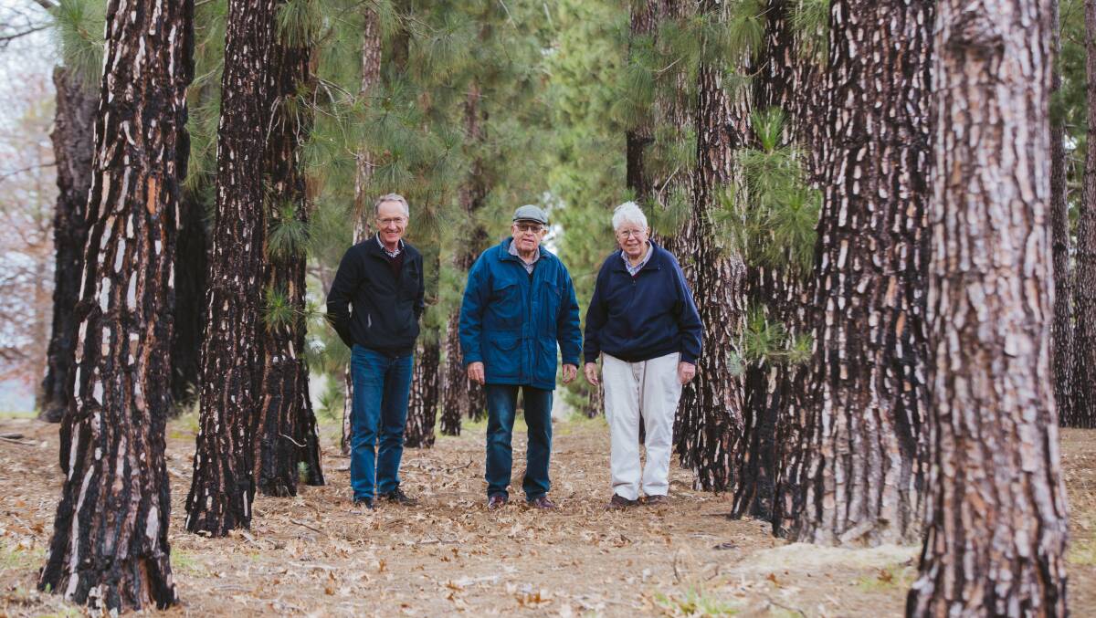 From left, project manager Duncan McLennan, president of The Friends of the ACT Trees Paul Scholtens, and former landscape architect director for the National Capital Development Commission Dr John Gray. Picture: Jamila Toderas