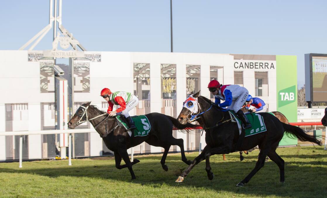 Prize money for The Federal at Canberra's Thoroughbred Park will remain at the decreased level until crowds can return to racing. Picture: Jamila Toderas