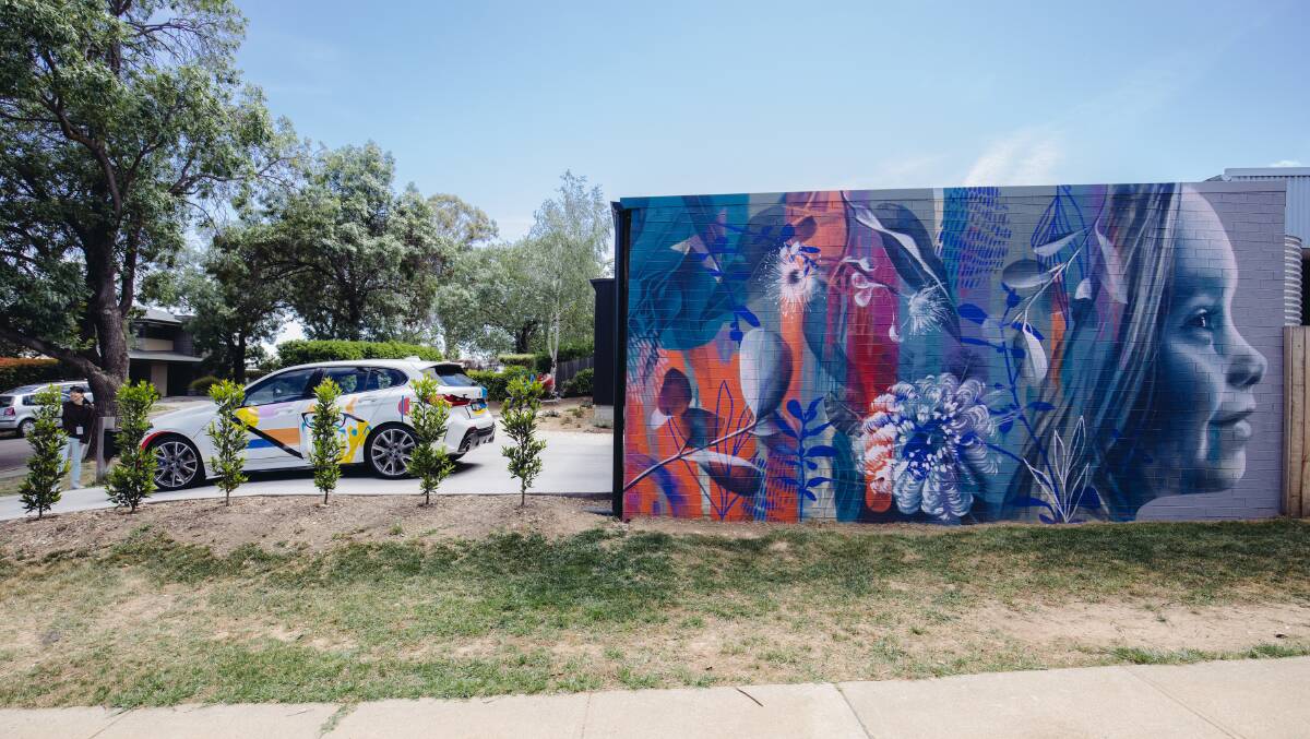 The mural by artist Claire Foxton on a home in Ainslie. Picture: Davey from 5 Foot Photography