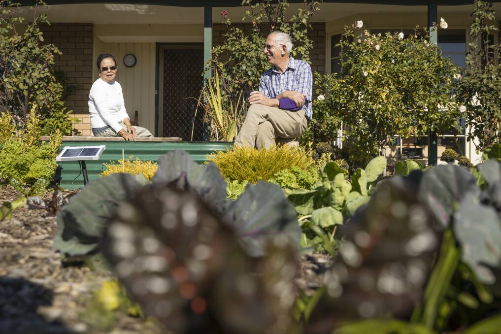 Chanla Khanthavongsa and Jim Laity grow produce in the front yard of their Oxley home. Picture: Sitthixay Ditthavong