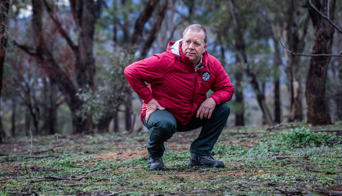 ACT Parks and Conservation Service's Justin Foley on the degraded ground at O'Connor Ridge, a result of kangaroo grazing. Picture: Karleen Minney