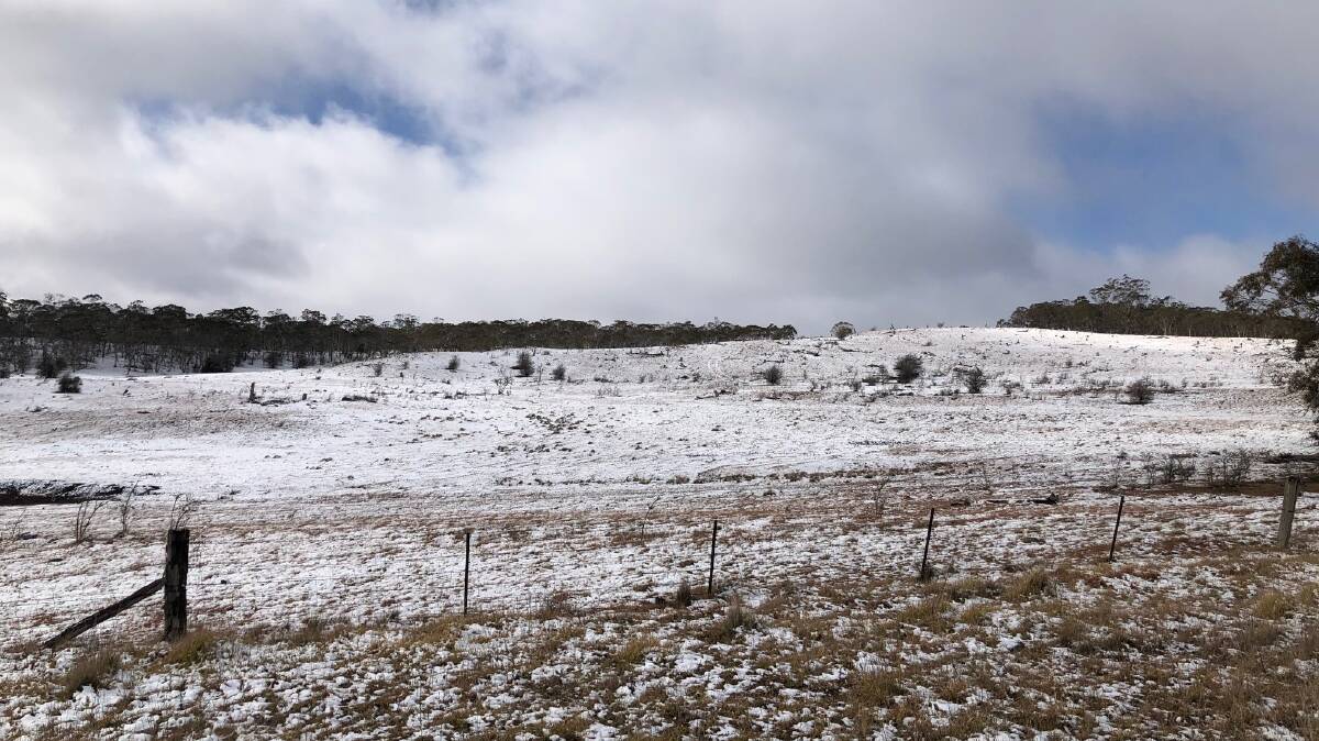 Snowfall just outside Nimmitabel on the day of the Eden-Monaro byelection. Picture: Elliot Williams