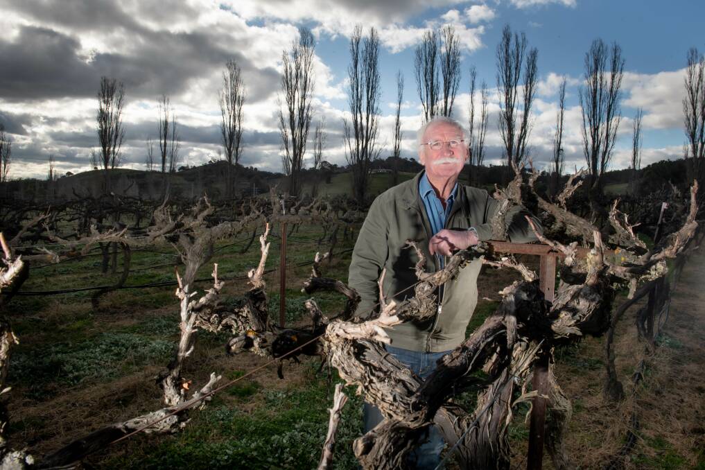 Helm Wines owner Ken Helm has endured a torrid 2020 - but his fortunes have improved. Picture: Karleen Minney