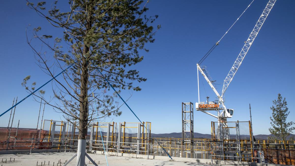 Topping out tree on the top of Geocon's High Society Tower B building in the Republic development, Canberra's highest residential building. Picture: Sitthixay Ditthavong